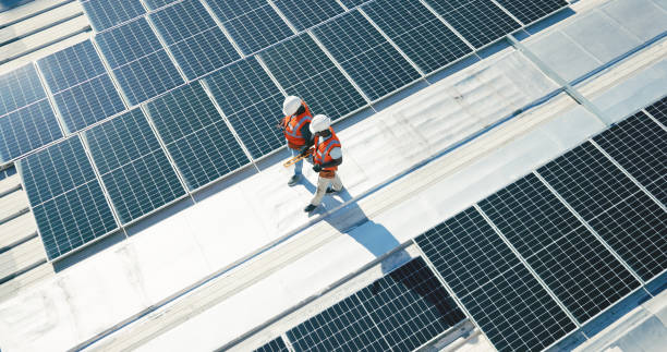 Best Roof Maintenance and Cleaning  in Elk Rapids, MI