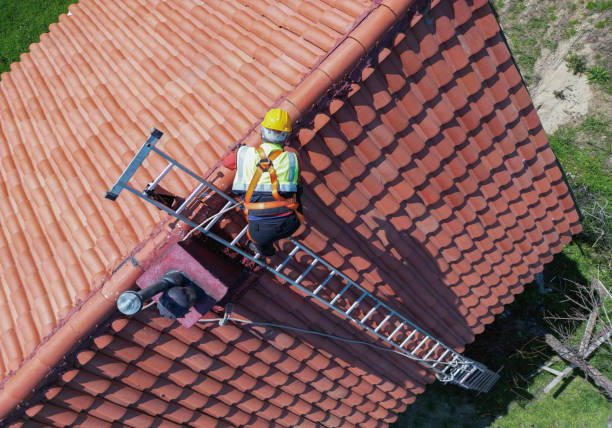 Best Storm Damage Roof Repair  in Elk Rapids, MI