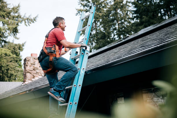 Best Roof Coating and Sealing  in Elk Rapids, MI